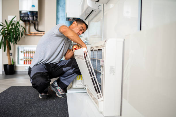 Best Air Vent Cleaning Services  in Corunna, MI