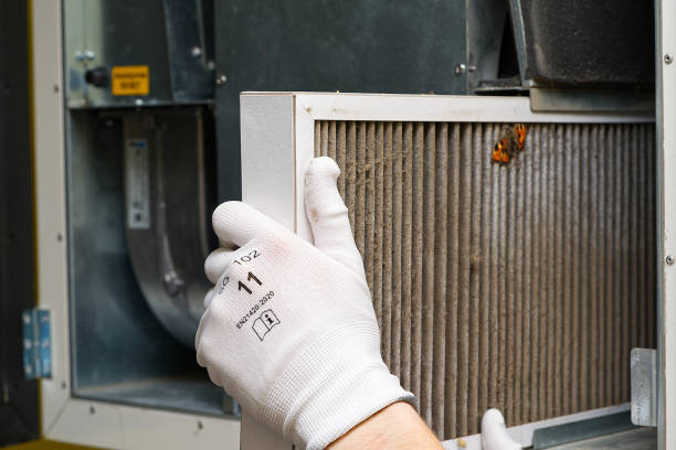Best Emergency Air Duct Cleaning  in Corunna, MI