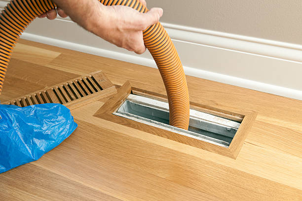 Best Air Duct Mold Removal  in Corunna, MI