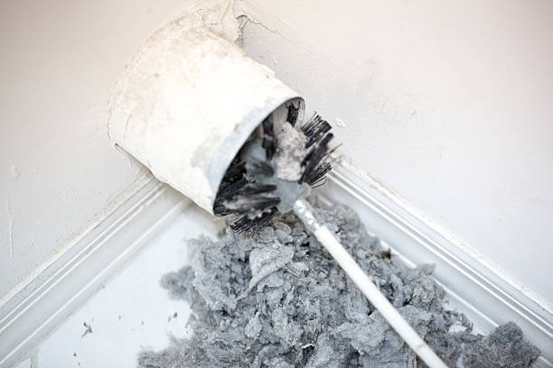 Best Air Duct Cleaning Near Me  in Corunna, MI
